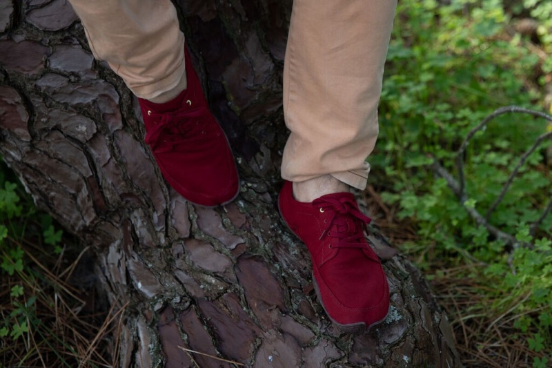 Wildling Tanuki Blotevoeten Schoenen Heren Donkerrood | Belgie-XWGIQV679