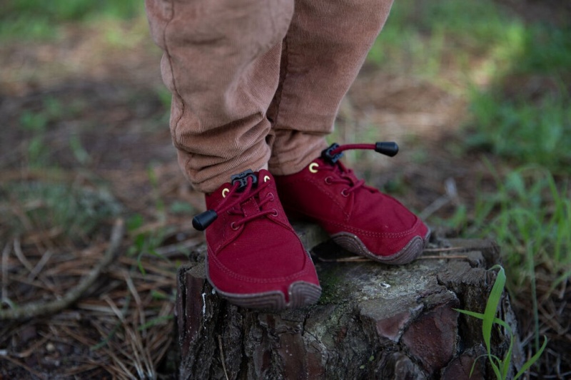 Wildling Tanuki Blotevoeten Schoenen Kinderen Donkerrood | Belgie-MUXZBF630